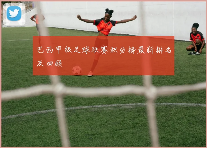 巴西甲级足球联赛积分榜最新排名及回顾